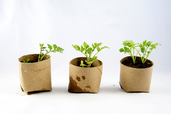 Sample - How To Post