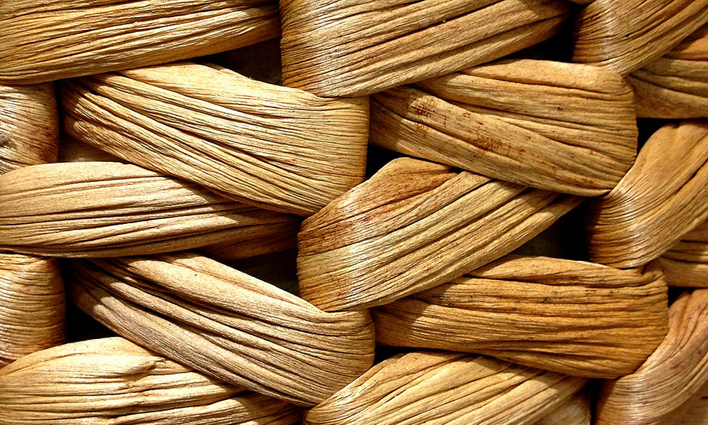  Photo by&nbsp; cobalt123  