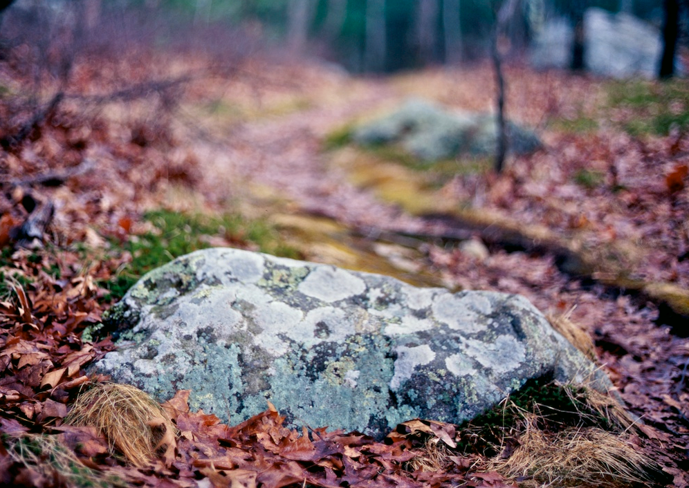  Photo by:  RawheaD Rex  