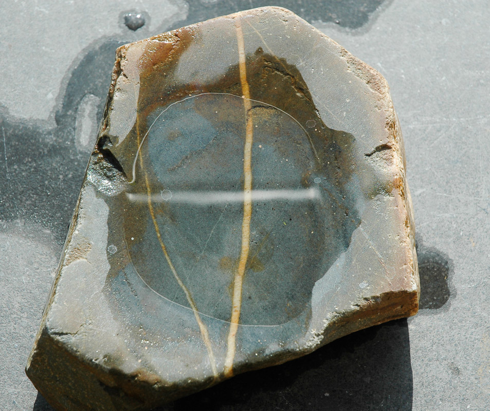  Photo by:&nbsp; Jos van Wunnik  